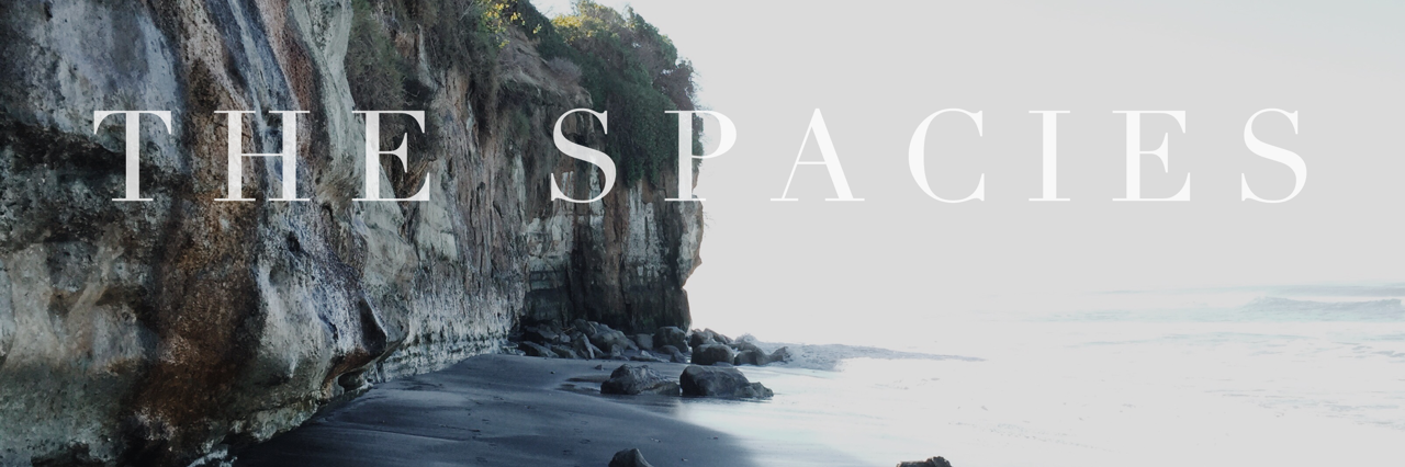thespacies's profile banner image