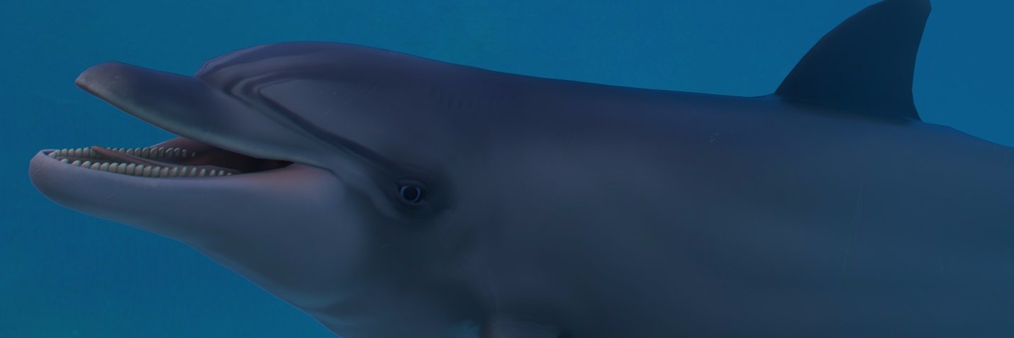 neurodolphin's profile banner image
