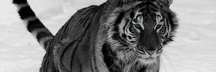 this_kelvin's profile banner image