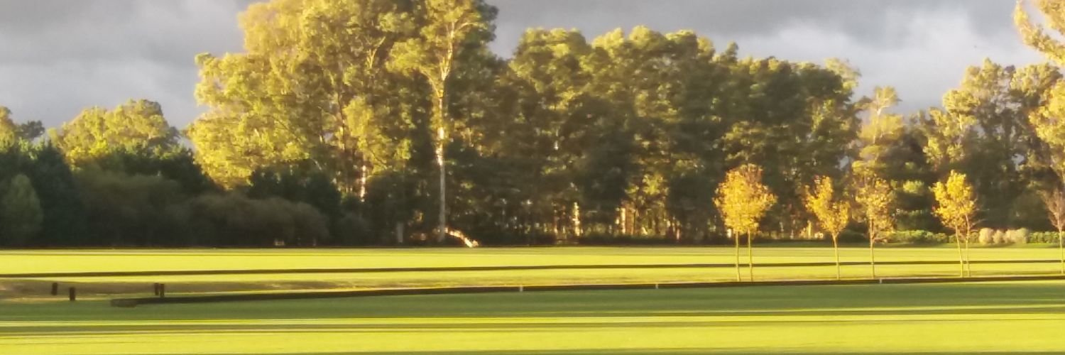 Argentina Polo Tour banner