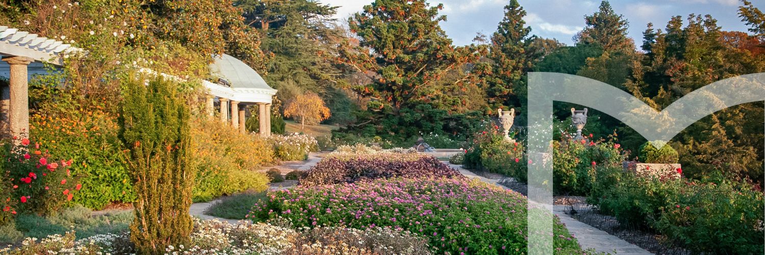 Maymont's profile banner image