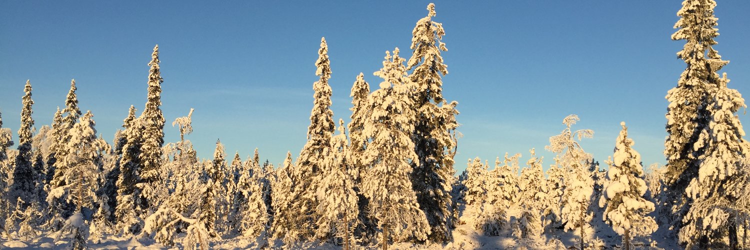 mattllo's profile banner image