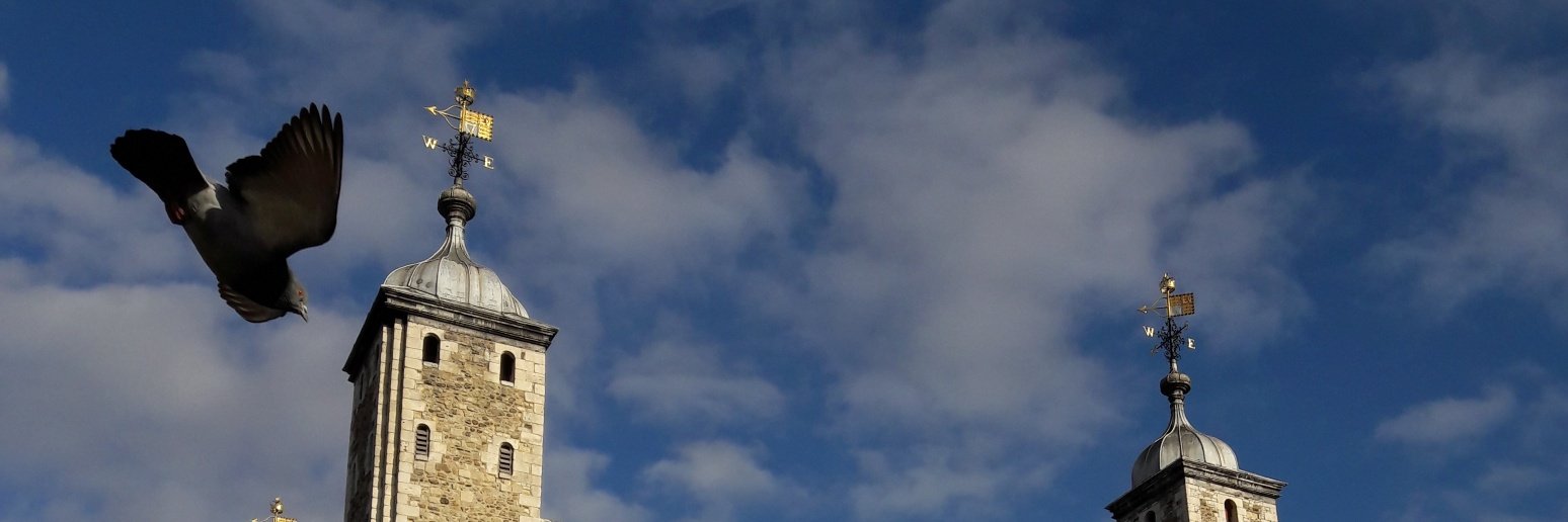 FrauDinktoc's profile banner image