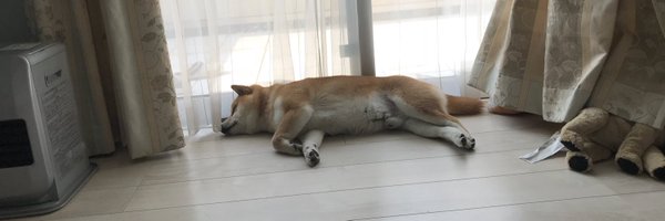 paraiso_tact Profile Banner