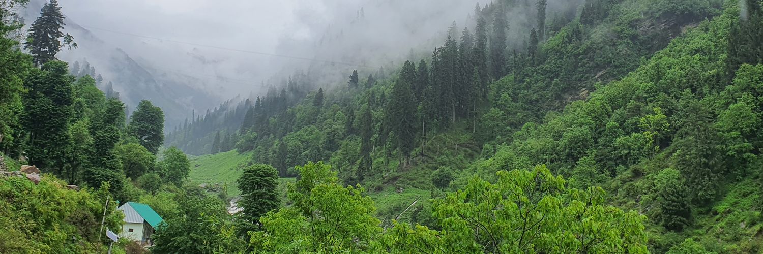 Shruti Srivastava banner