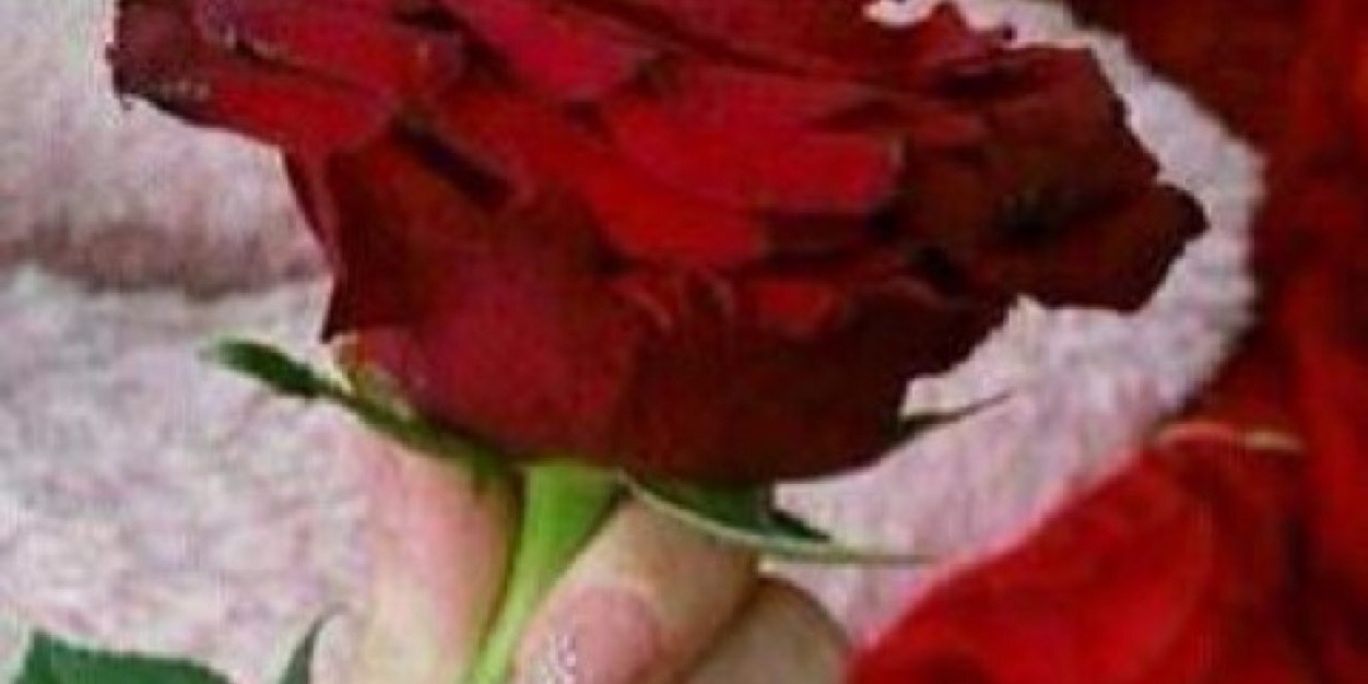 narmin442220's profile banner image