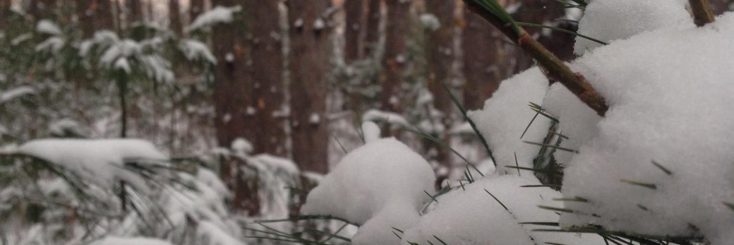 RealNateRogers's profile banner image