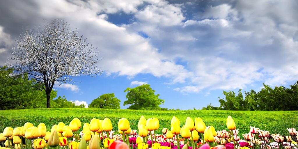 HouseGardenUS's profile banner image