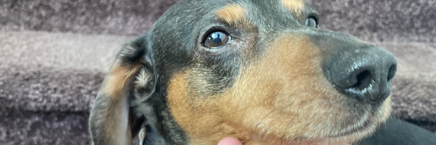 dougboor23's profile banner image