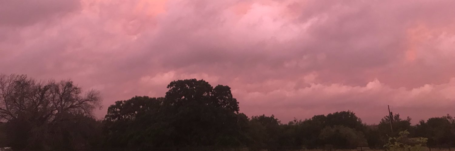 LacyinTX's profile banner image