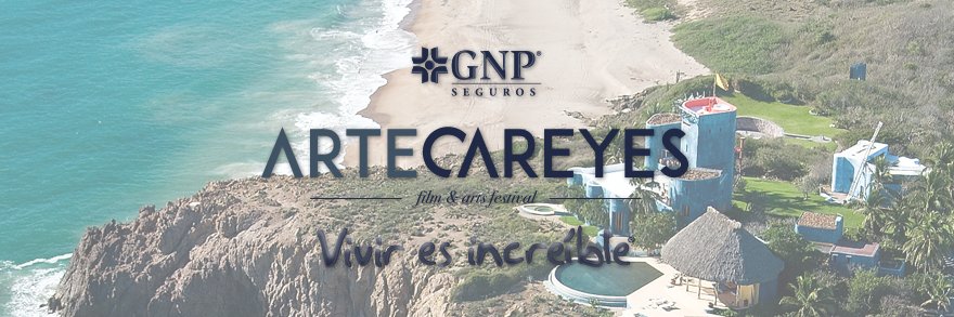 artecareyes's profile banner image