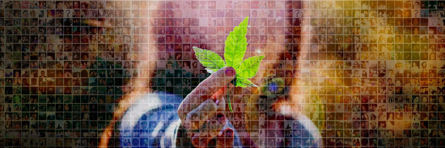 illegallyhealed's profile banner image