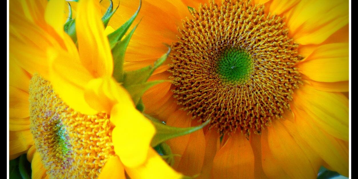 BLTProduction's profile banner image