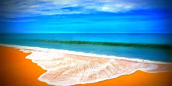 Kona Kitchen Seattle banner