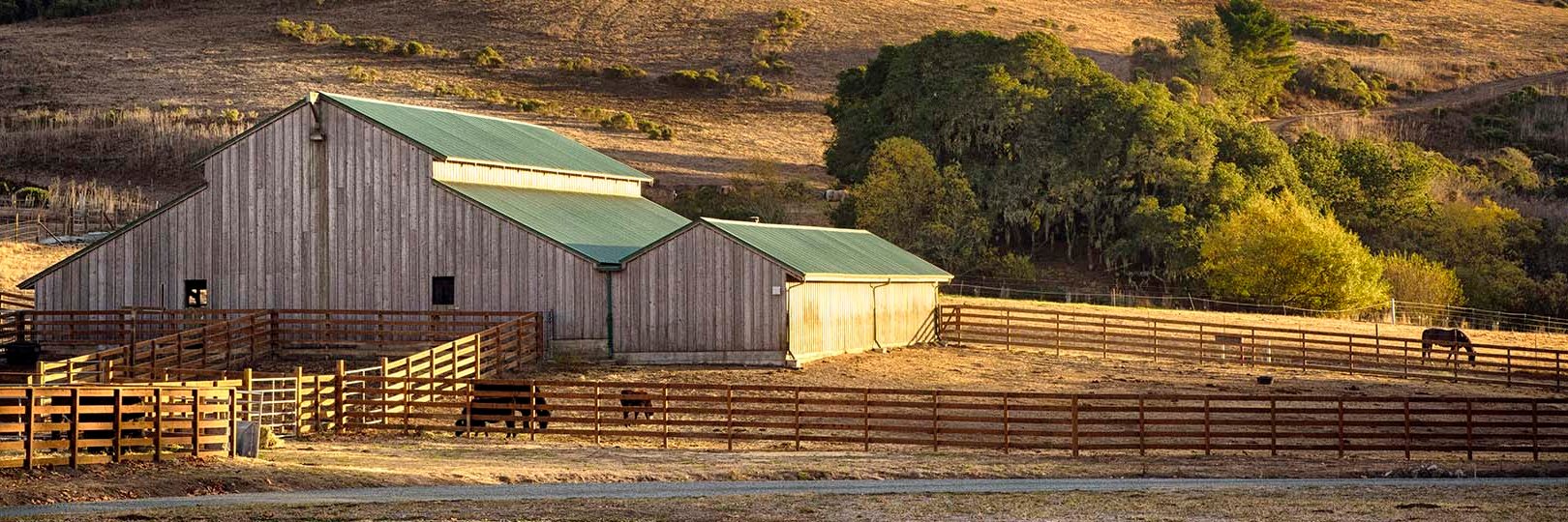 TomKat Ranch Educational Foundation banner
