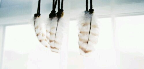 isobelasmgdr's profile banner image