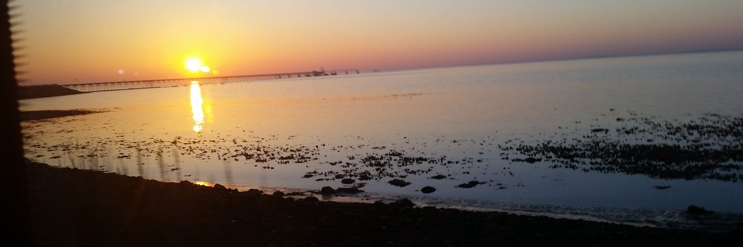 garyrea1's profile banner image