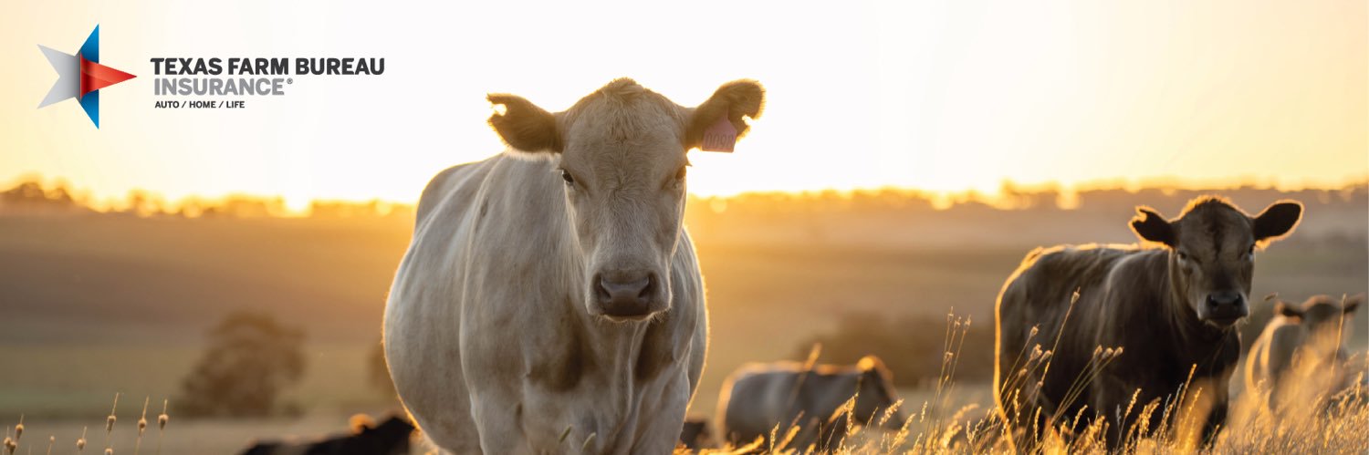 TXFBinsurance's profile banner image