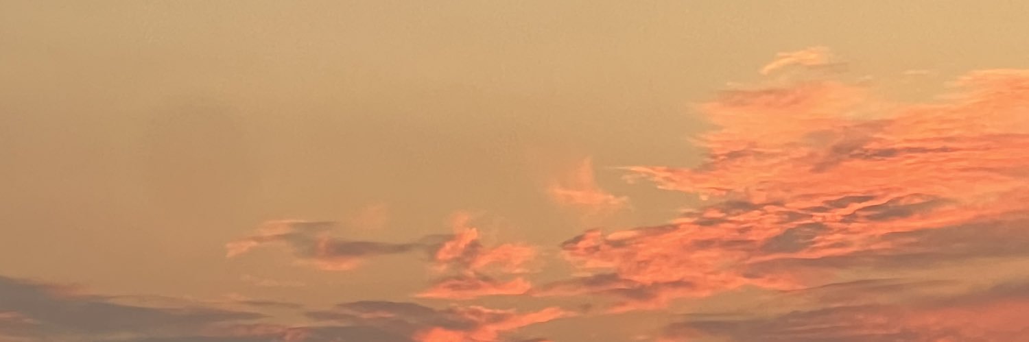graaaayce's profile banner image