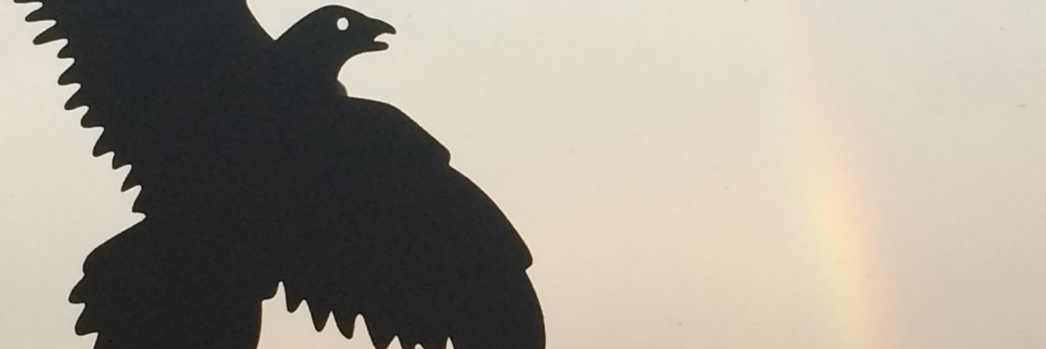 ButterflyGhost banner