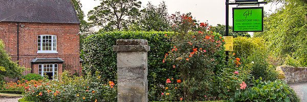 goldstonehall's profile banner image