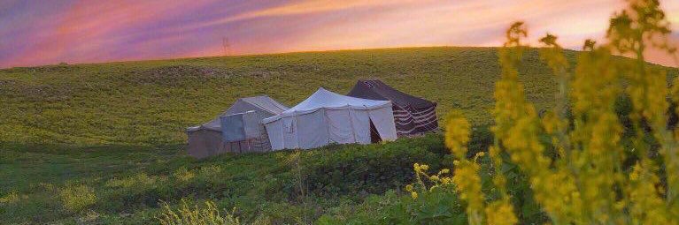 نبض عرعر banner