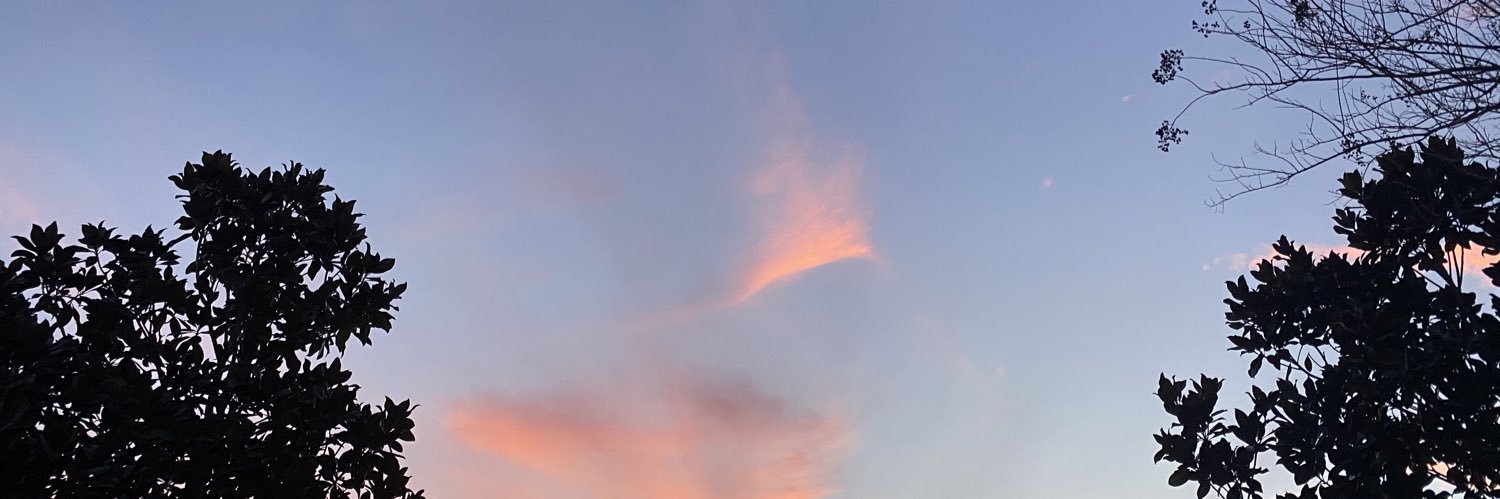 atreeonatrain's profile banner image
