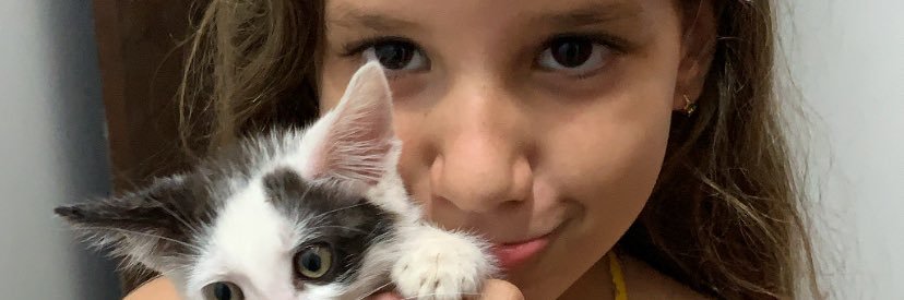 polihaut's profile banner image