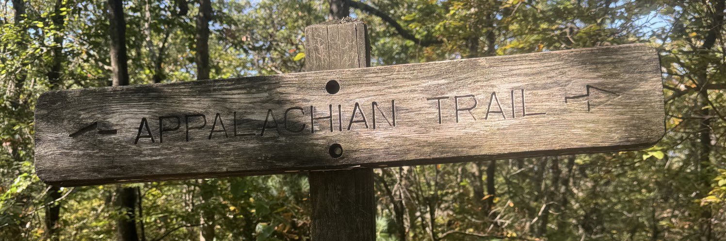 TattleTaleSister banner