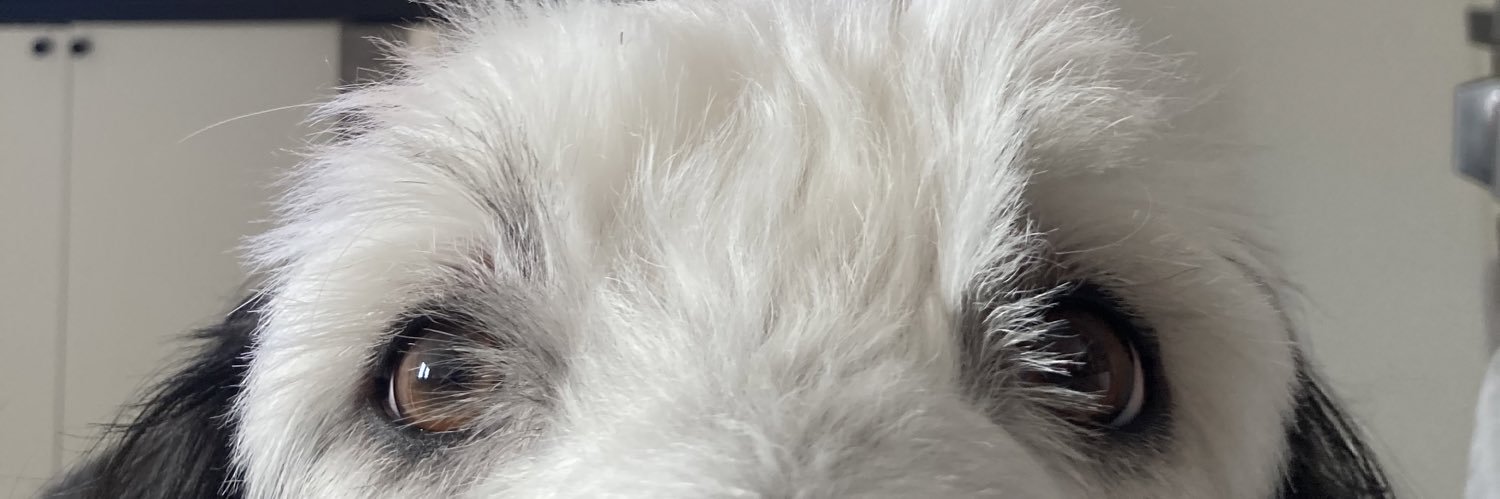 maggie kelly :) banner