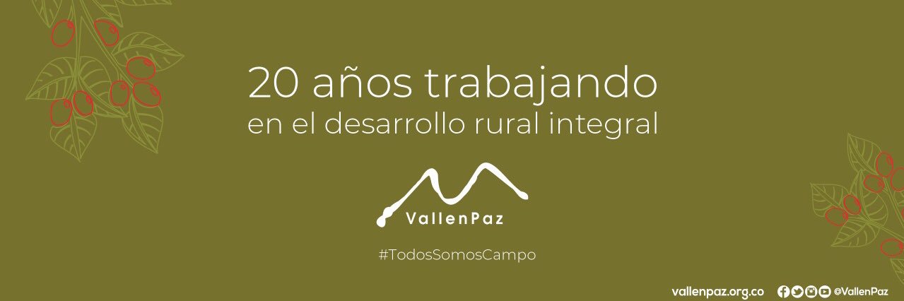 vallenpaz's profile banner image