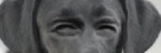 bvrns007's profile banner image