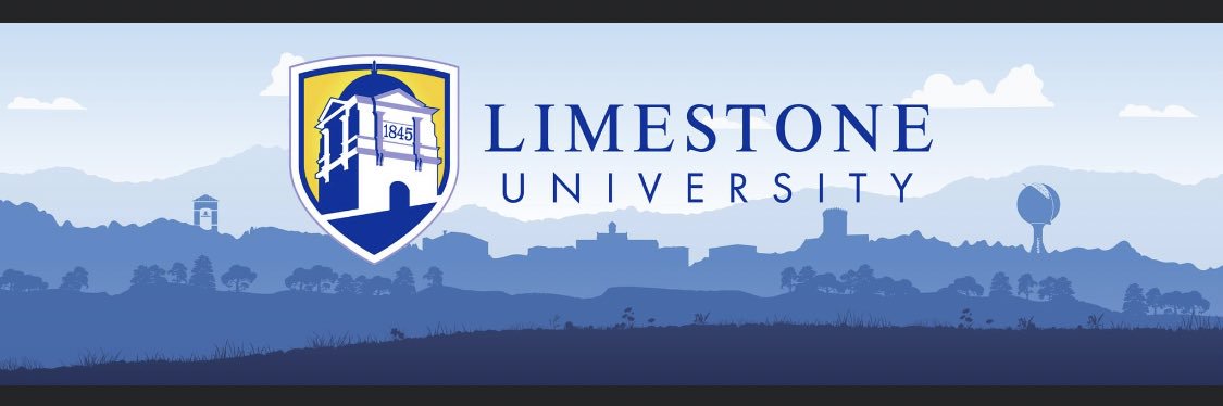 LimestoneAdmiss's profile banner image