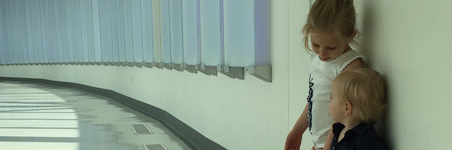 Susannah Nicholson banner