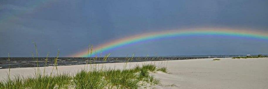 MSRainbowCenter's profile banner image