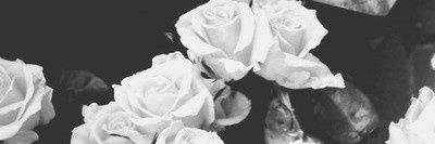 AnntonellaGaray's profile banner image