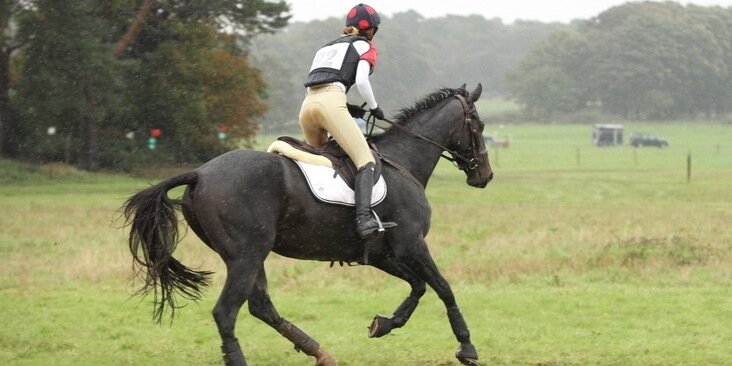 NL_Eventing's profile banner image