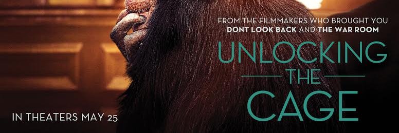 Unlocking the Cage banner