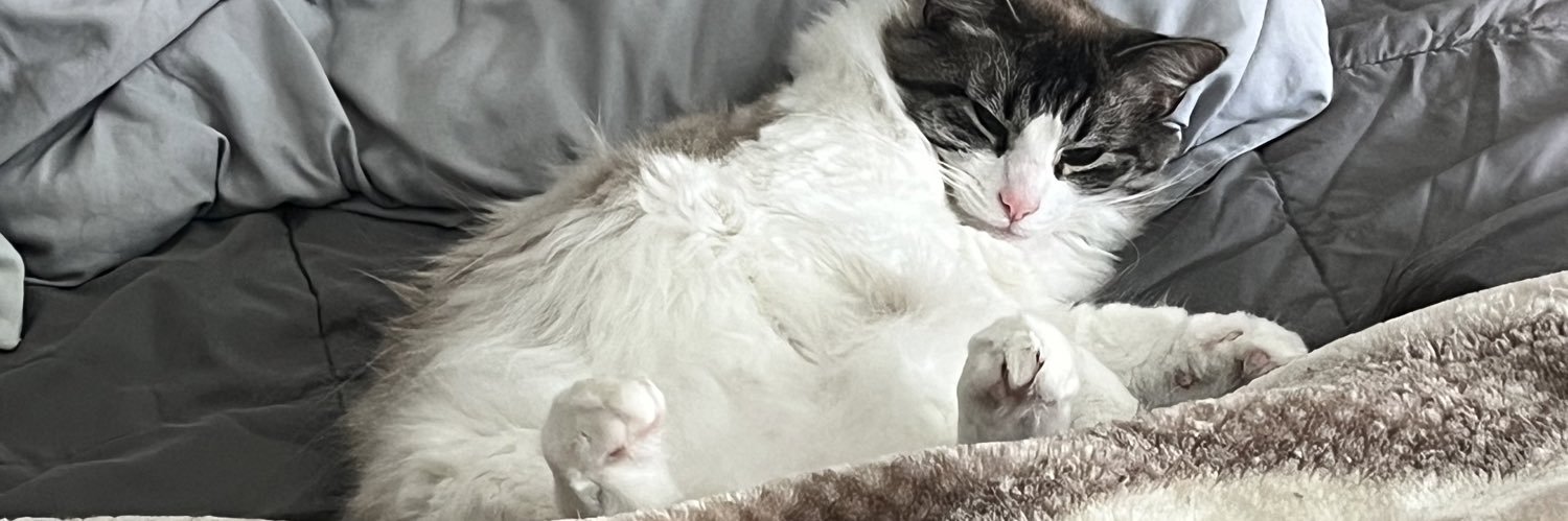 peachijpg's profile banner image
