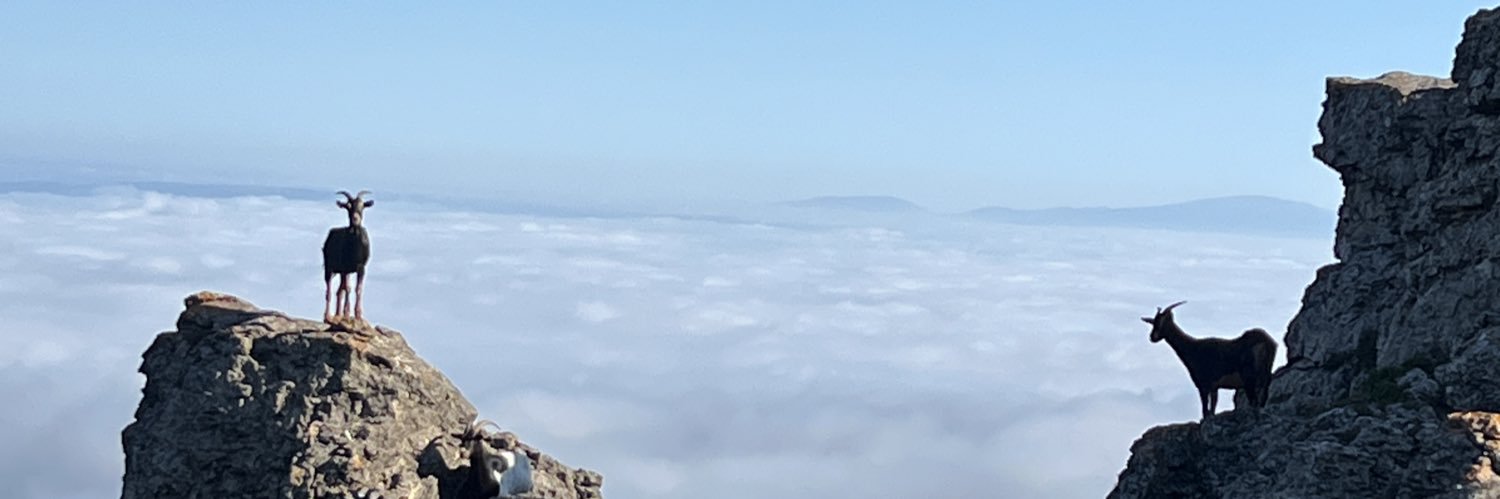 94DavidRamos's profile banner image