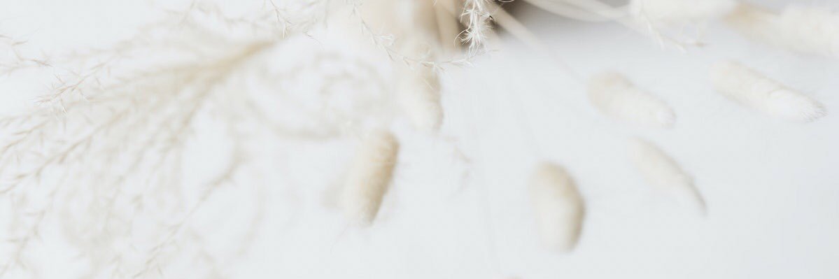 Jaclyn Small banner