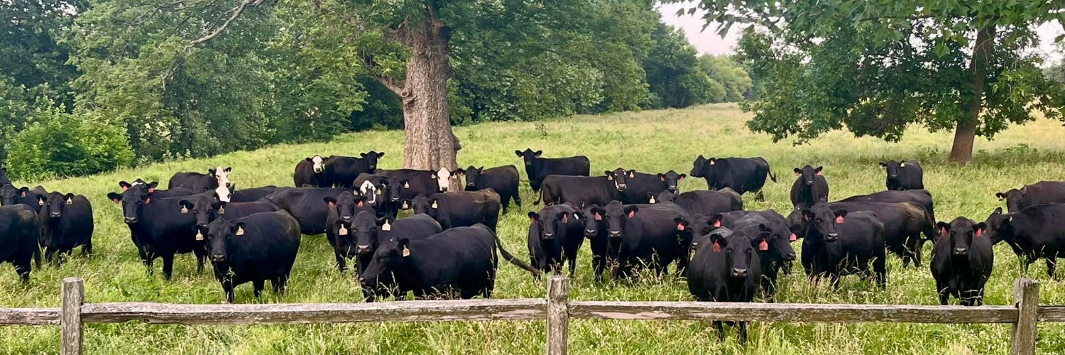 Archive: Rep. Vicky Hartzler banner