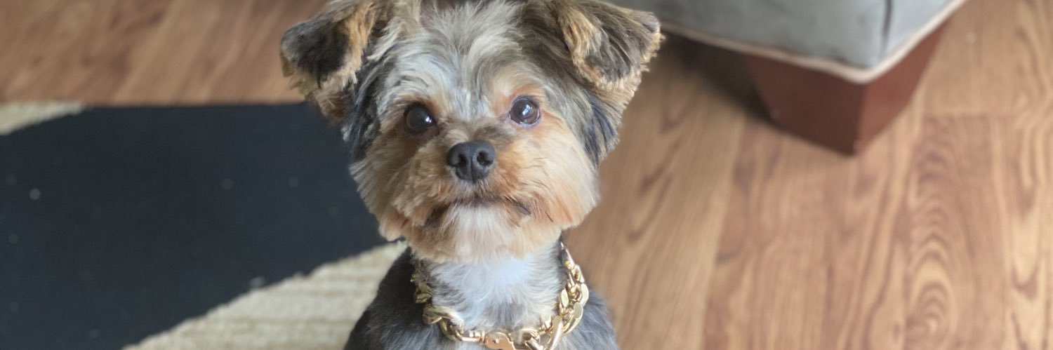 xvShamari_'s profile banner image