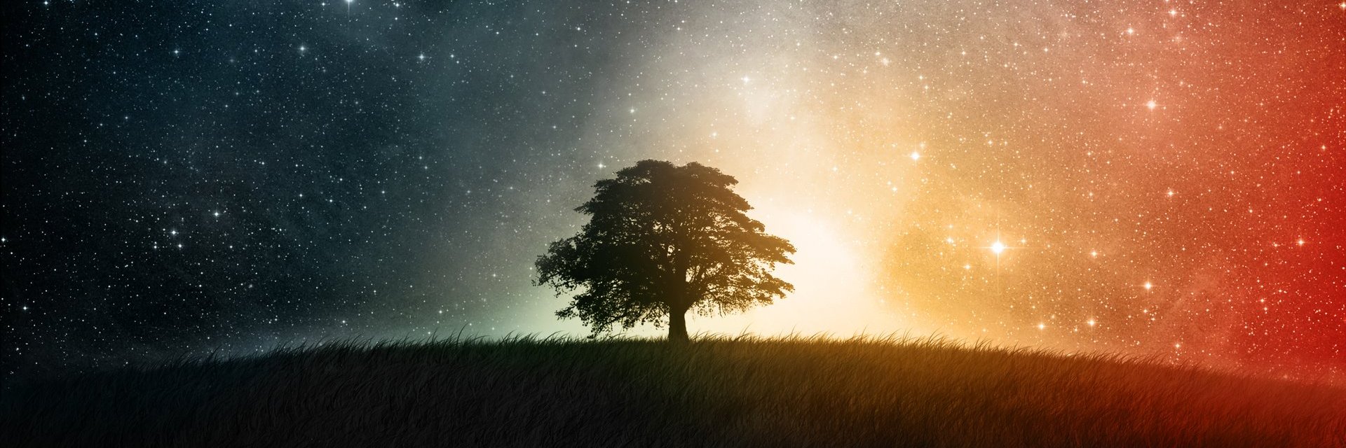 xBacki's profile banner image