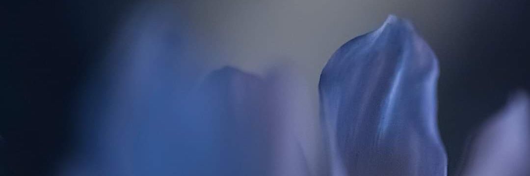 ilda_Mara's profile banner image