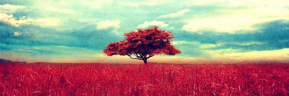 larrymillar's profile banner image
