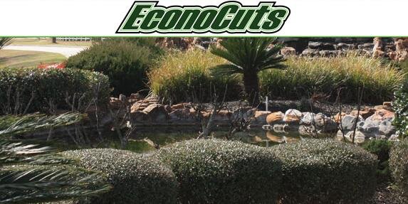 Econocuts's profile banner image