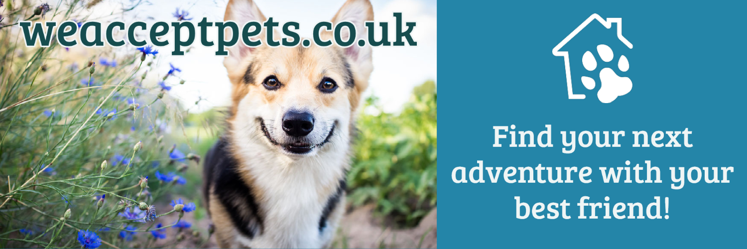 WeAcceptPets's profile banner image