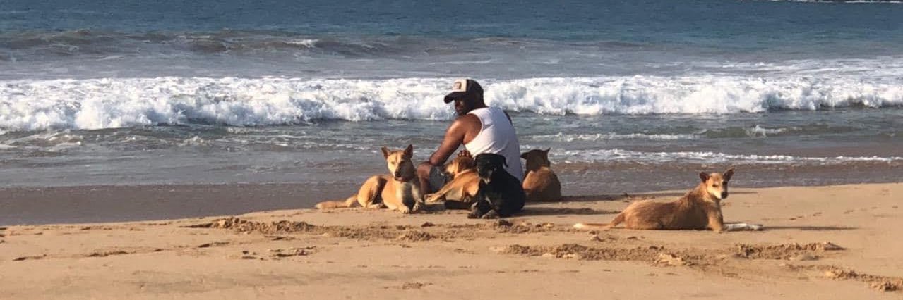 Keith De Alwis banner