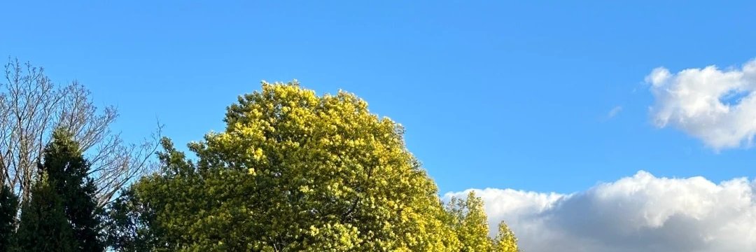 Mano88883672's profile banner image